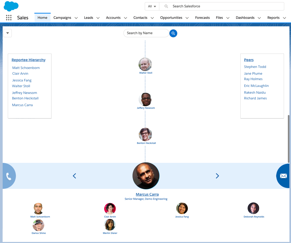 Salesforce org chart module